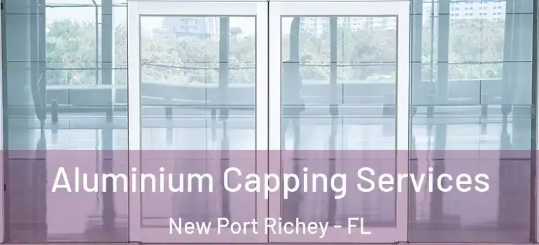  Aluminium Capping Services New Port Richey - FL