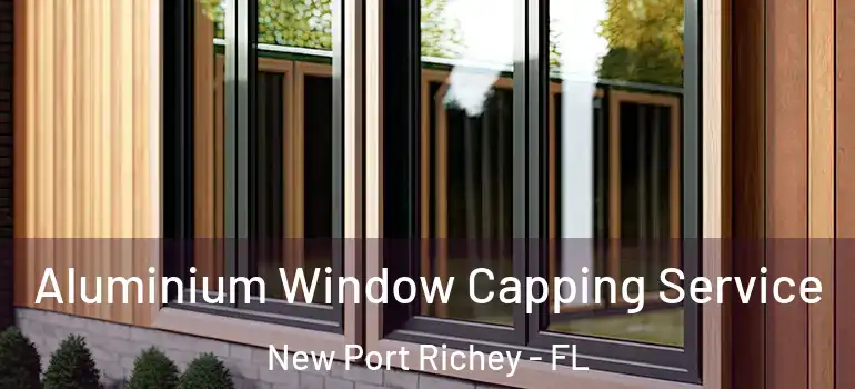  Aluminium Window Capping Service New Port Richey - FL