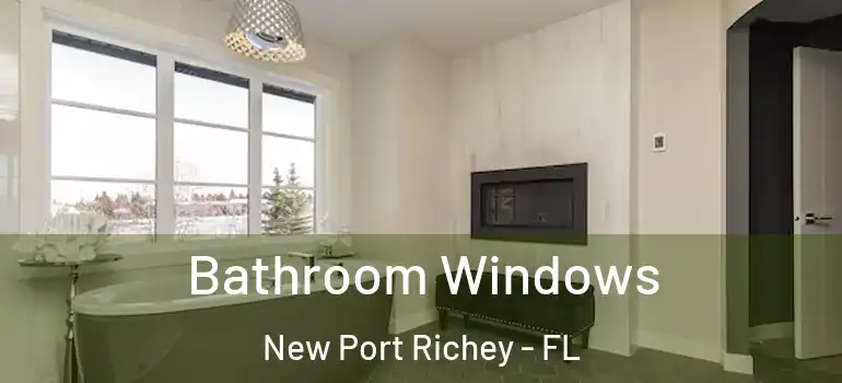  Bathroom Windows New Port Richey - FL