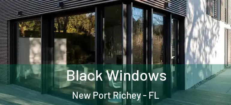  Black Windows New Port Richey - FL