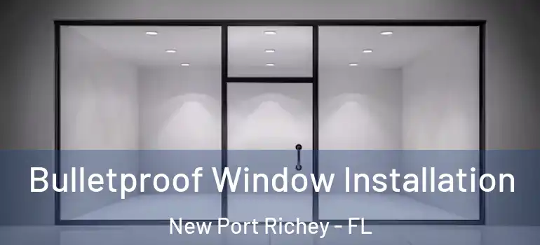  Bulletproof Window Installation New Port Richey - FL