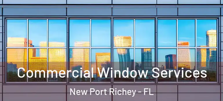  Commercial Window Services New Port Richey - FL