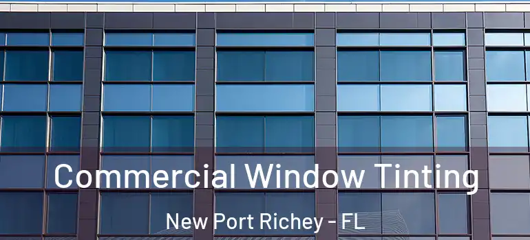  Commercial Window Tinting New Port Richey - FL