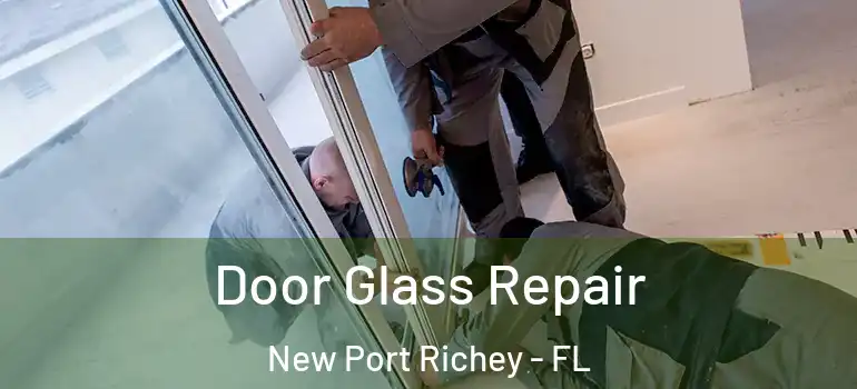  Door Glass Repair New Port Richey - FL