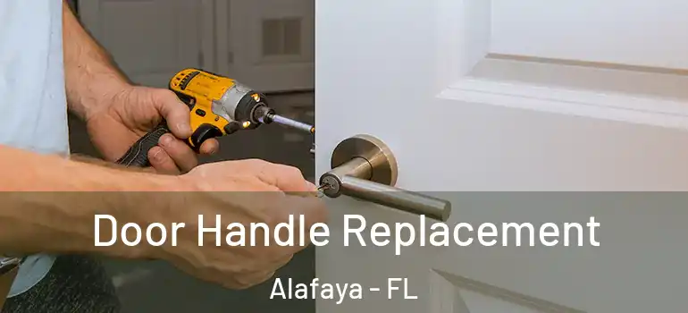  Door Handle Replacement Alafaya - FL