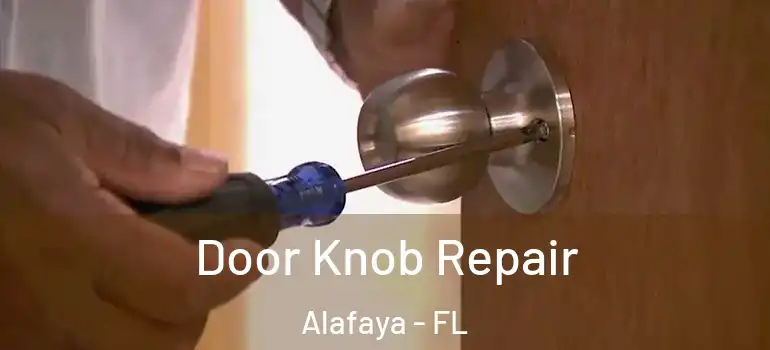 Door Knob Repair Alafaya - FL
