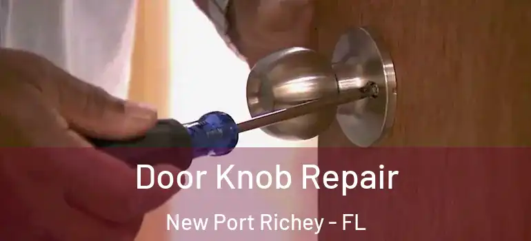  Door Knob Repair New Port Richey - FL