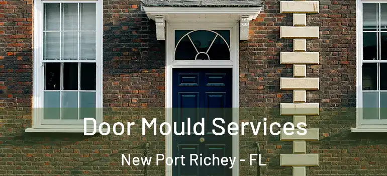  Door Mould Services New Port Richey - FL