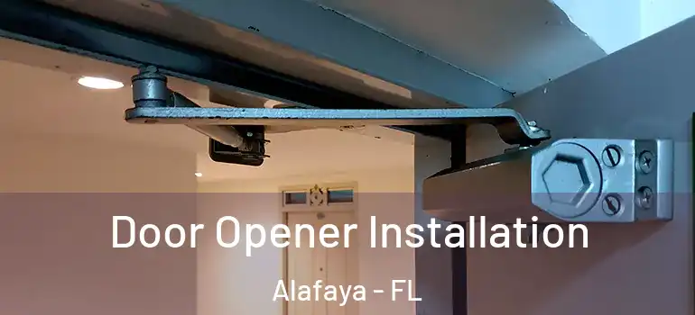  Door Opener Installation Alafaya - FL