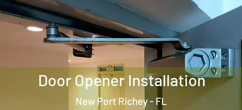  Door Opener Installation New Port Richey - FL