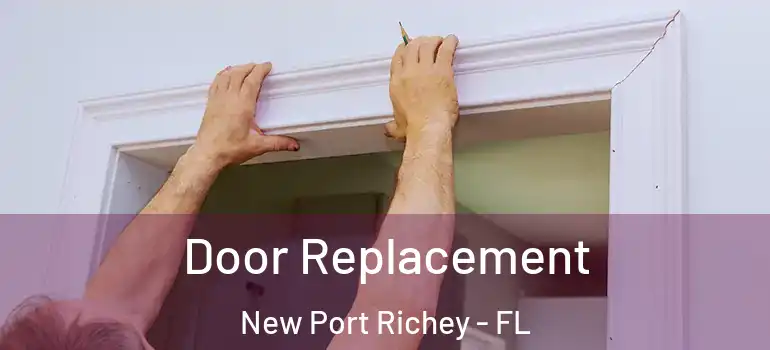  Door Replacement New Port Richey - FL