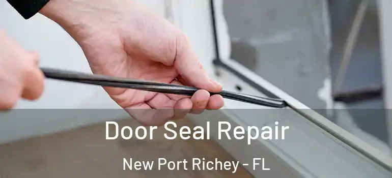 Door Seal Repair New Port Richey - FL
