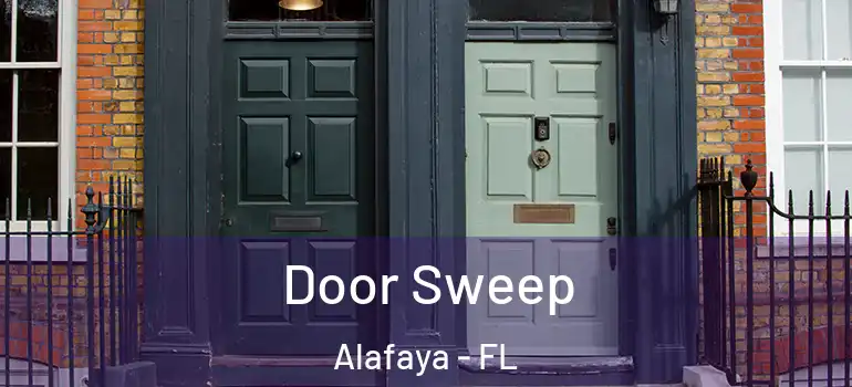  Door Sweep Alafaya - FL