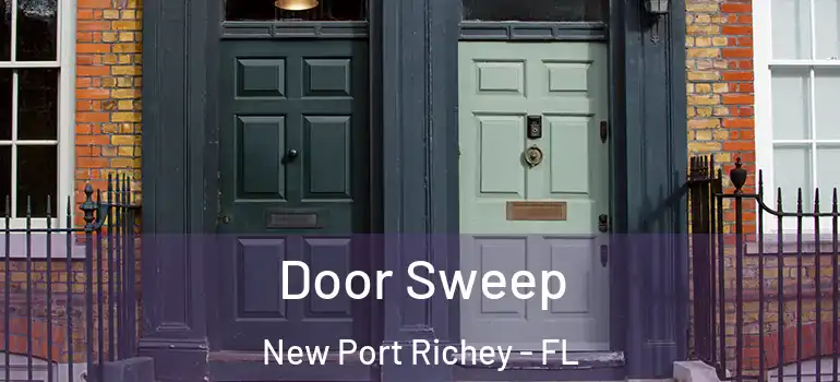  Door Sweep New Port Richey - FL