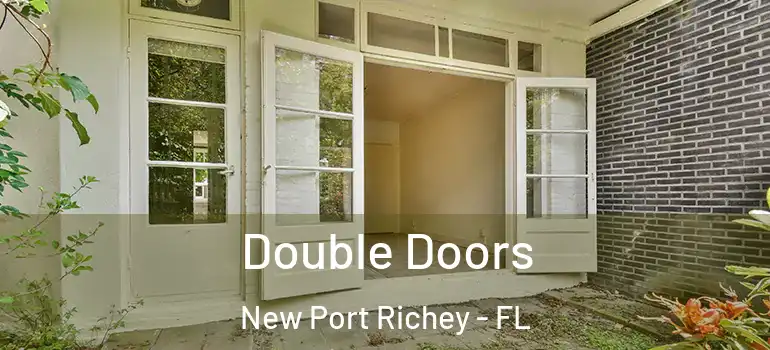  Double Doors New Port Richey - FL