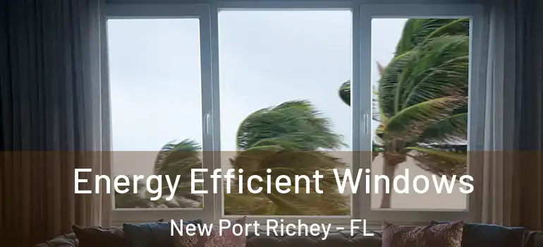  Energy Efficient Windows New Port Richey - FL