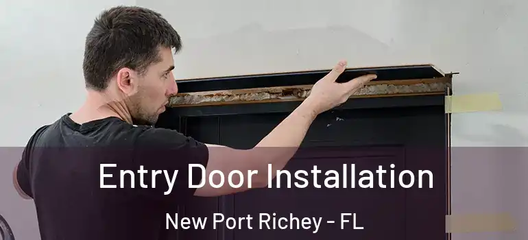  Entry Door Installation New Port Richey - FL