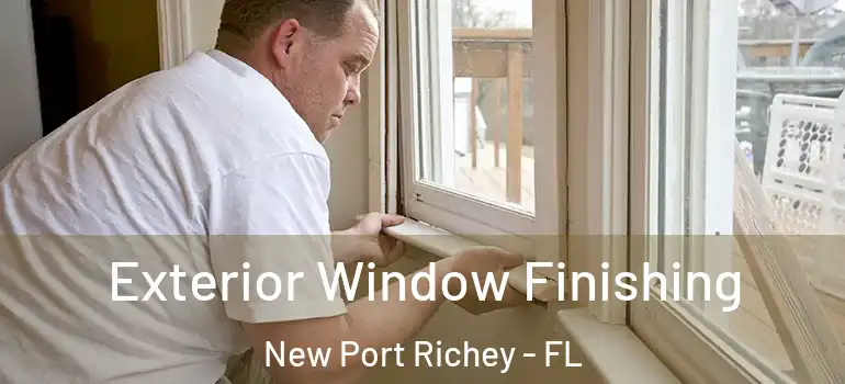  Exterior Window Finishing New Port Richey - FL