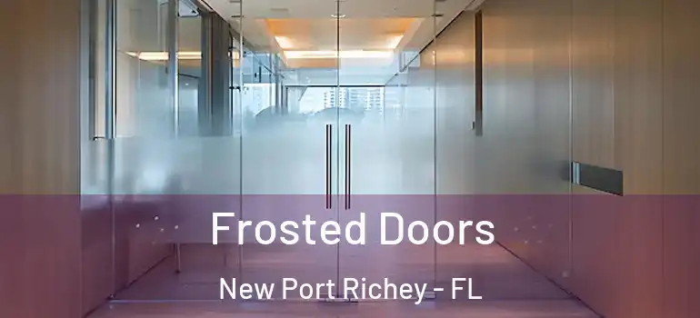  Frosted Doors New Port Richey - FL