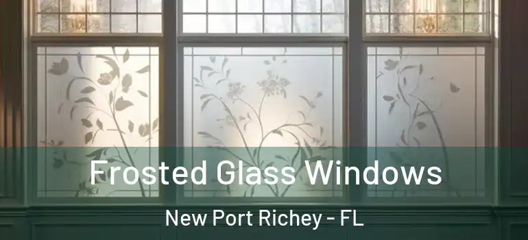 Frosted Glass Windows New Port Richey - FL
