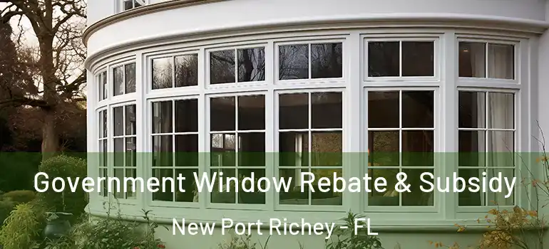  Government Window Rebate & Subsidy New Port Richey - FL