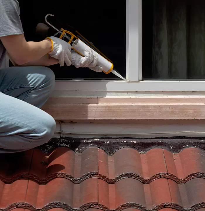 Roof Window Services in New Port Richey, Florida