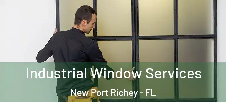  Industrial Window Services New Port Richey - FL