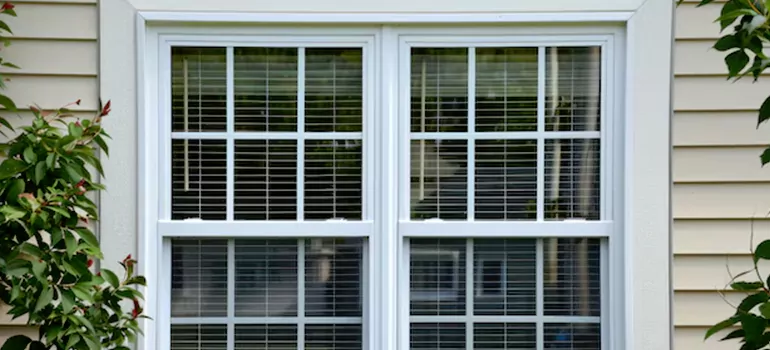 Custom Double Hung Windows in New Port Richey, FL
