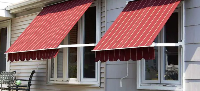 Government Rebate Window Replacement in New Port Richey, FL