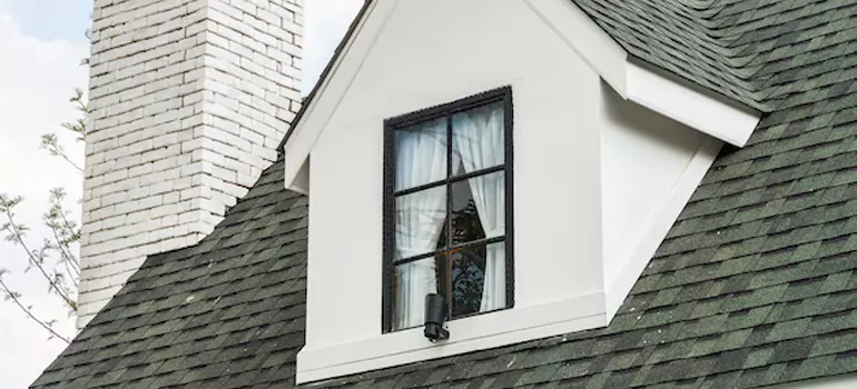 Roof Window Repair in New Port Richey, FL