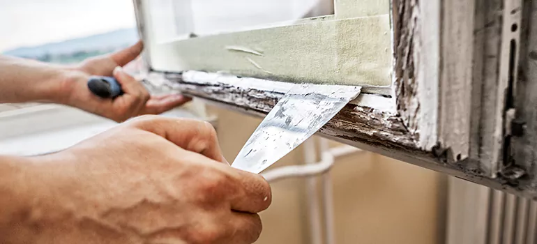 Exterior Window Frame Repair in New Port Richey, FL