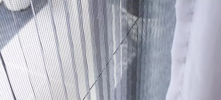 Fixing Screen Window Mesh in New Port Richey, FL
