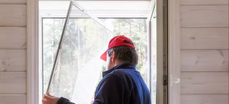 Expandable Window Screen Installation in New Port Richey, FL