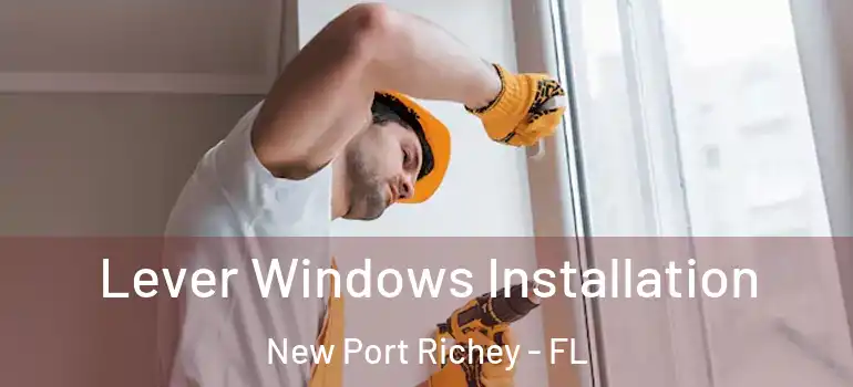  Lever Windows Installation New Port Richey - FL