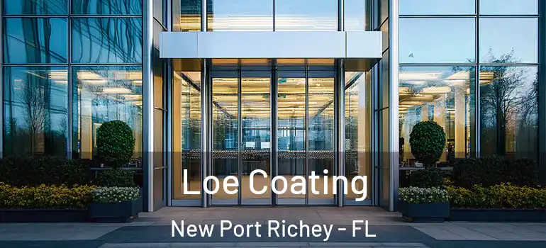  Loe Coating New Port Richey - FL