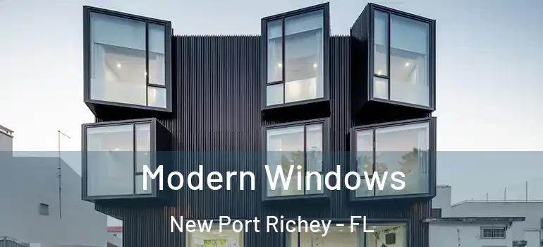  Modern Windows New Port Richey - FL