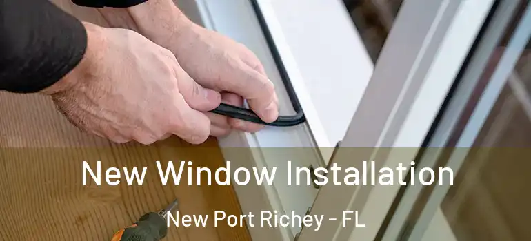  New Window Installation New Port Richey - FL