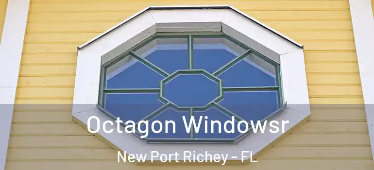  Octagon Windowsr New Port Richey - FL