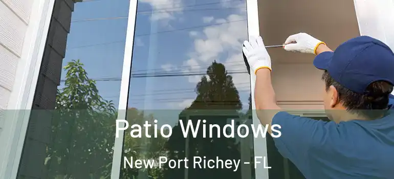  Patio Windows New Port Richey - FL