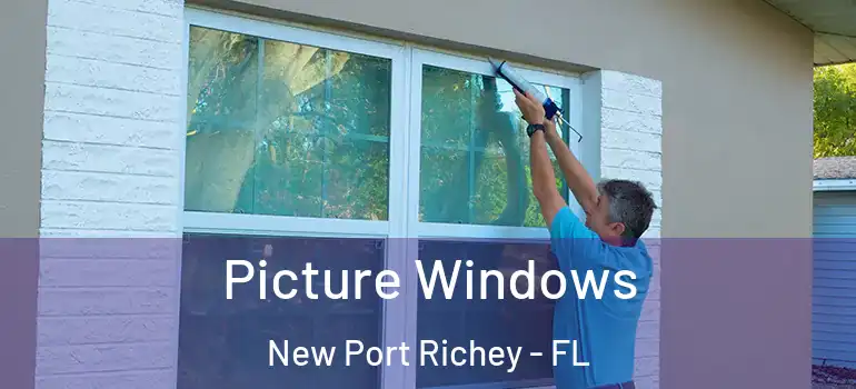  Picture Windows New Port Richey - FL