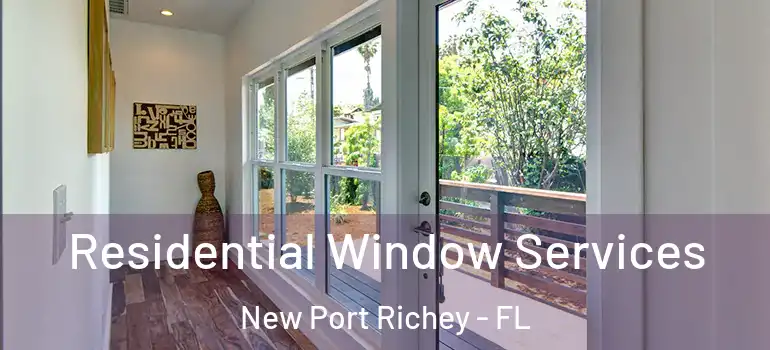  Residential Window Services New Port Richey - FL