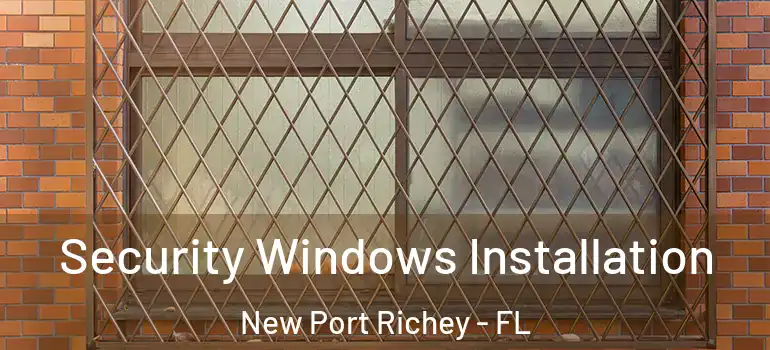 Security Windows Installation New Port Richey - FL