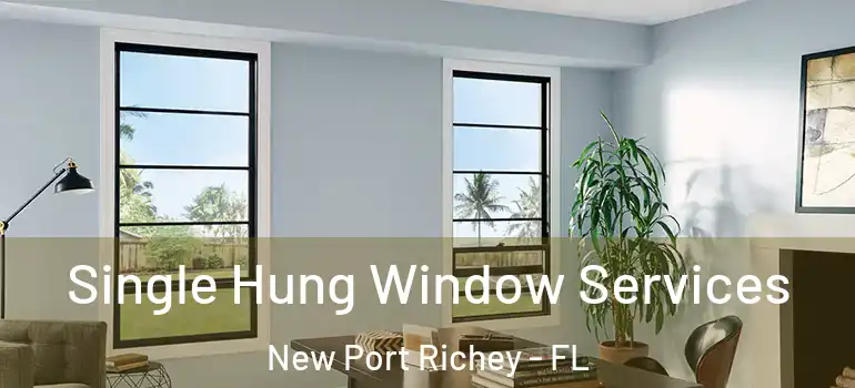  Single Hung Window Services New Port Richey - FL