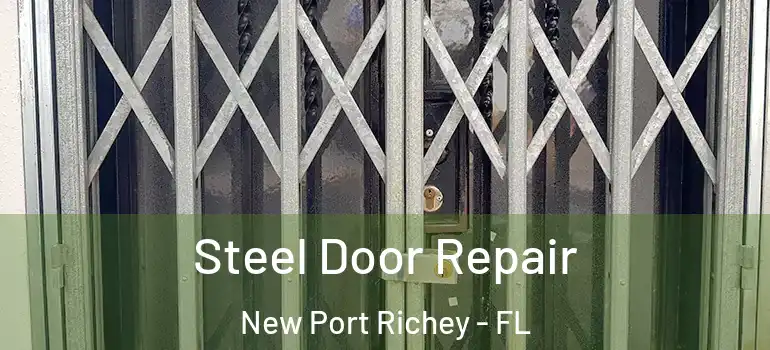 Steel Door Repair New Port Richey - FL