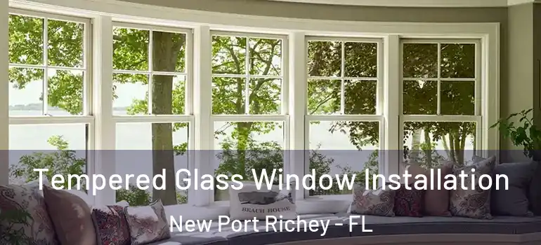  Tempered Glass Window Installation New Port Richey - FL