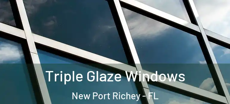  Triple Glaze Windows New Port Richey - FL