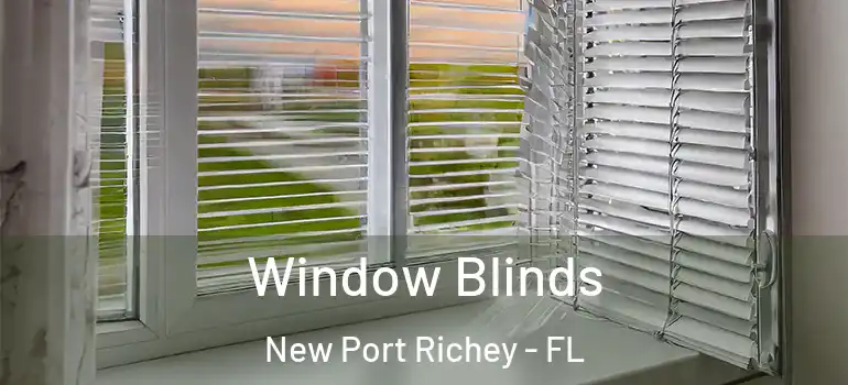  Window Blinds New Port Richey - FL