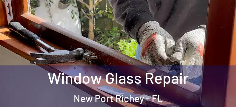  Window Glass Repair New Port Richey - FL