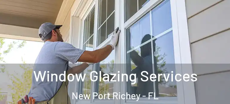  Window Glazing Services New Port Richey - FL