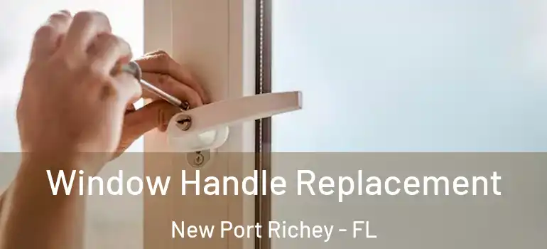  Window Handle Replacement New Port Richey - FL